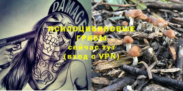 дурь Абинск