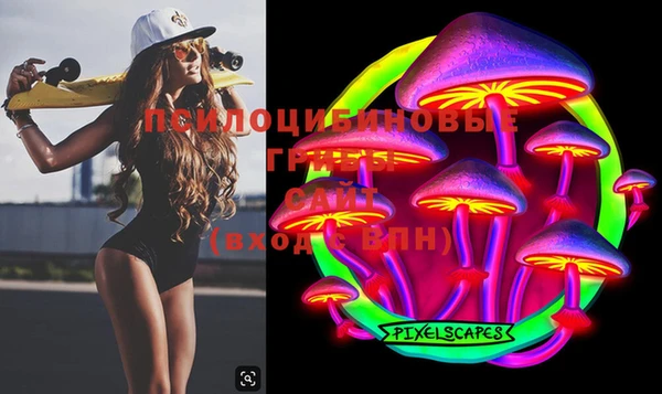 бошки Абаза