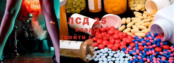 бошки Абаза