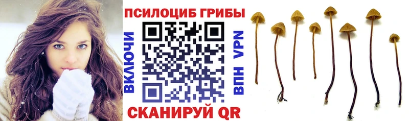 ссылка на мегу как зайти  Фокино  Псилоцибиновые грибы Psilocybine cubensis 